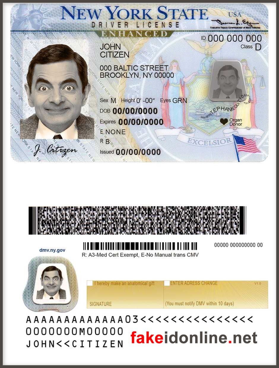 New York Driver License New 1200dpi